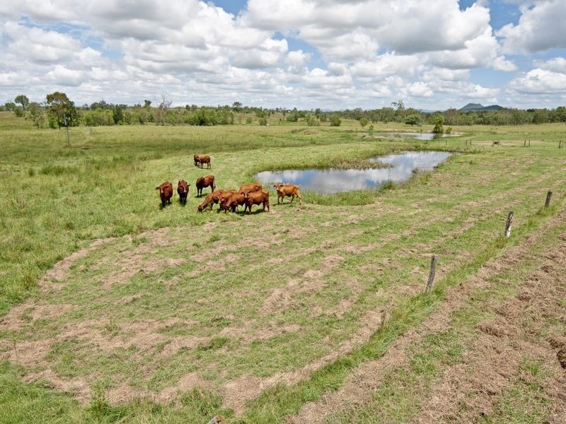 270 Goebels Road, Mount Forbes QLD 4340
