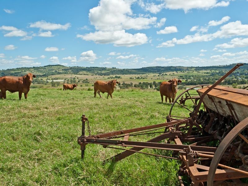 319 Haigslea-Malabar Road    HOUSE & LAND, Haigslea QLD 4306