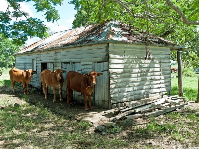 319 Haigslea-Malabar Road    HOUSE & LAND, Haigslea QLD 4306