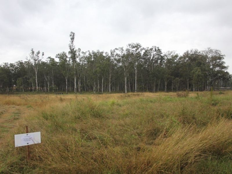 60 – 66 Seidels Road, Walloon QLD 4306