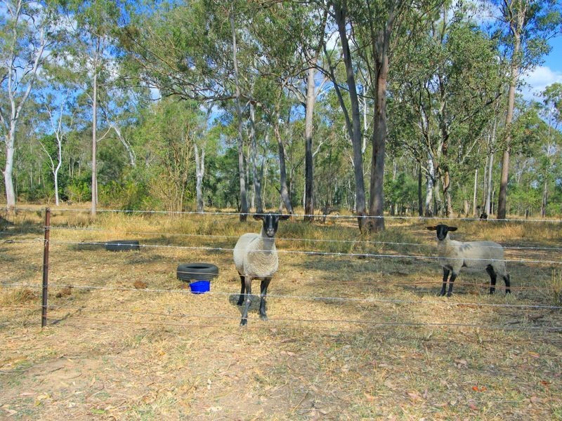 13 Morris Street, Tivoli QLD 4305