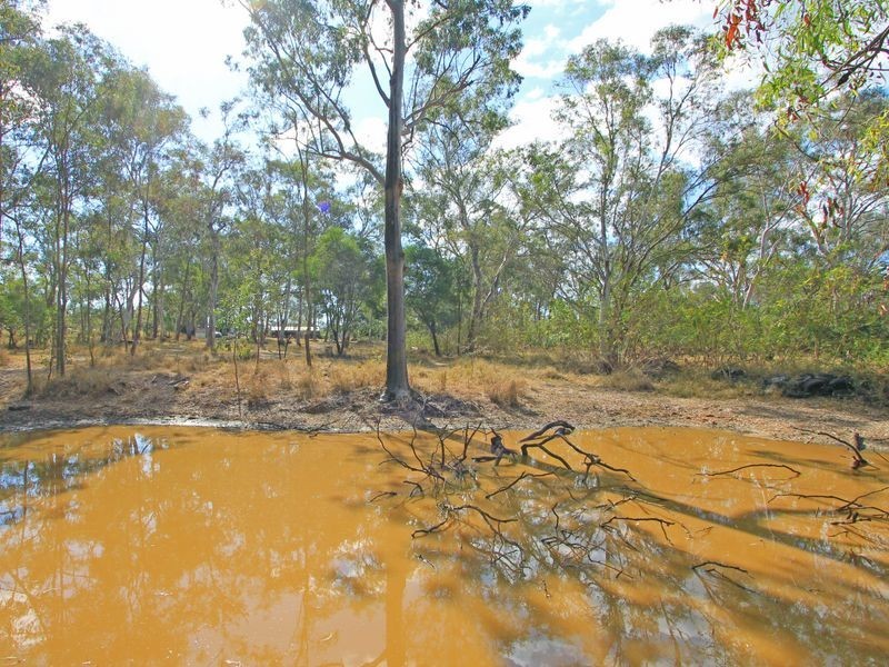 13 Morris Street, Tivoli QLD 4305