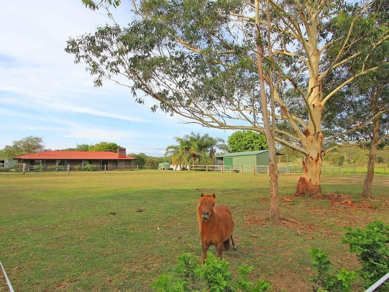 15 Cottonwood Place, Kholo QLD 4306