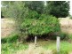 43 Claus Road, Haigslea QLD 4306