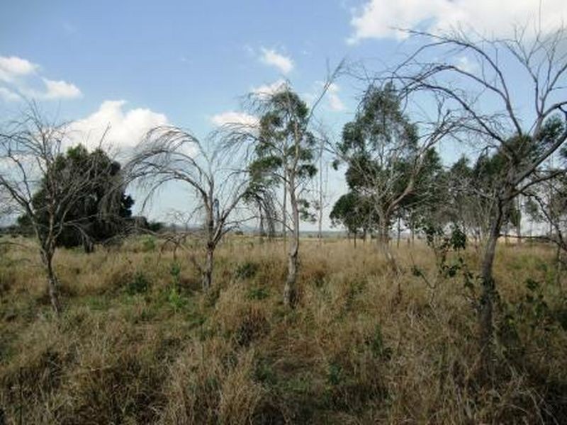 43 Claus Road, Haigslea QLD 4306