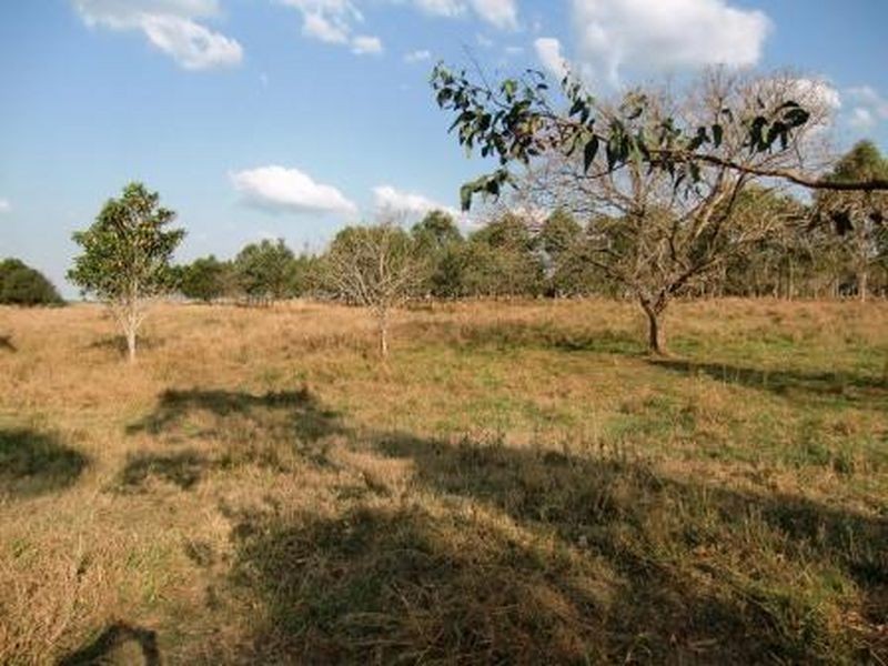 43 Claus Road, Haigslea QLD 4306