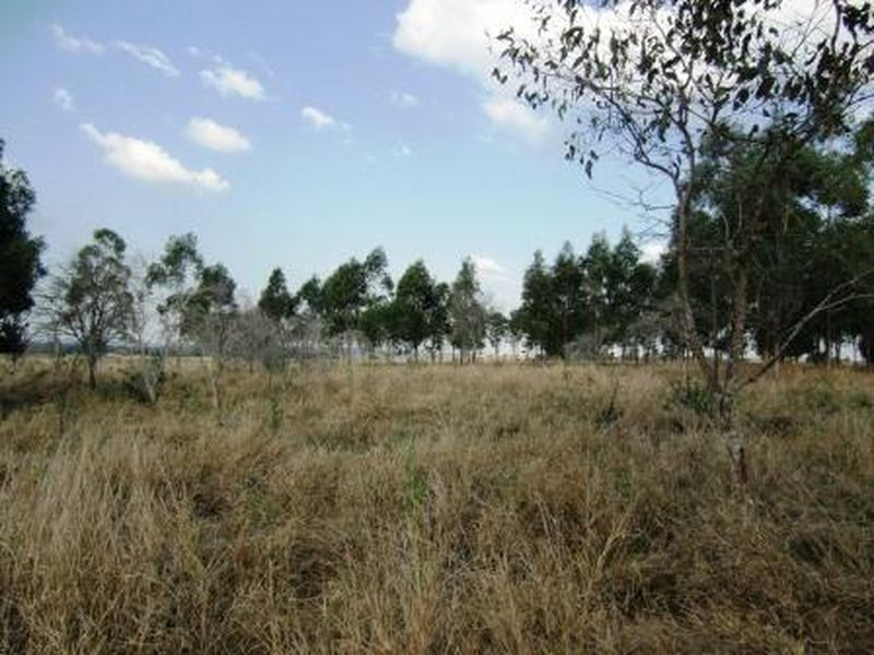 43 Claus Road, Haigslea QLD 4306