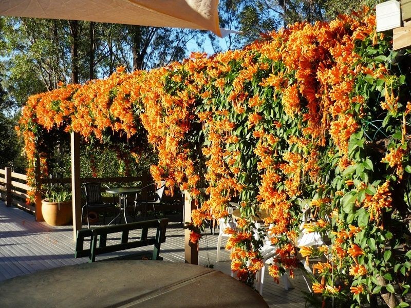 2055 Lake Moogerah Road, Moogerah QLD 4309