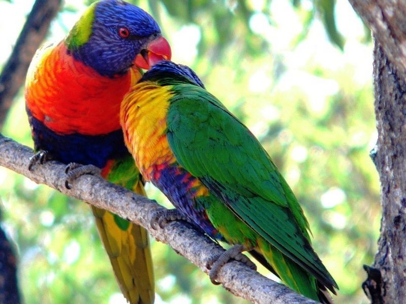 2055 Lake Moogerah Road, Moogerah QLD 4309