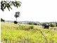 460 Kalbar-Roadvale Road, Roadvale QLD 4310