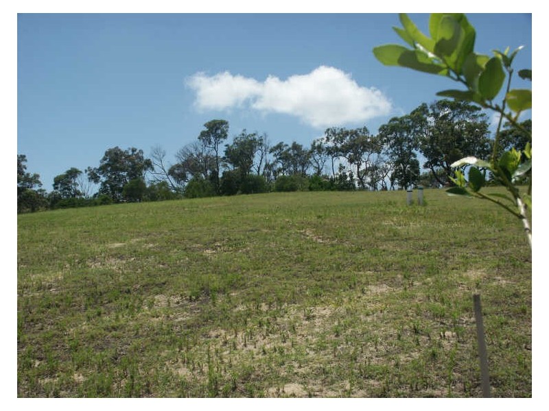 8 Cassidae Crescent, Bayview, Tangalooma QLD 4025