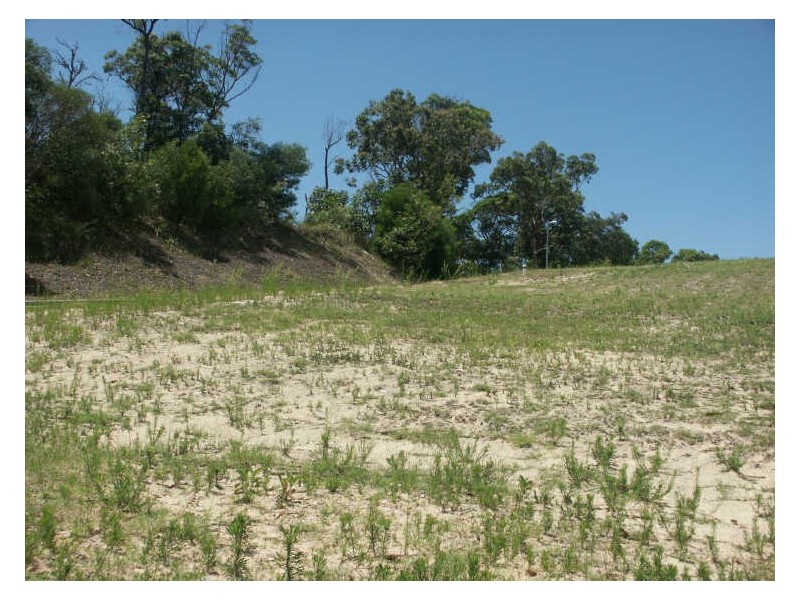 2 Cassidae Crescent Bayview, Tangalooma QLD 4025