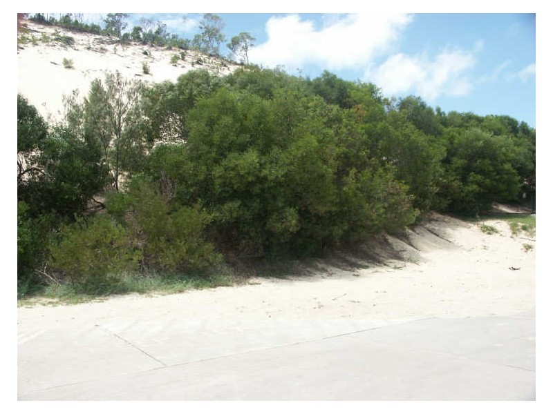 Tangalooma QLD 4025