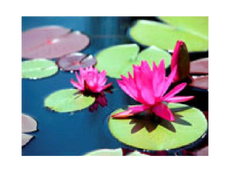 L77 River Retreat, Karalee QLD 4306