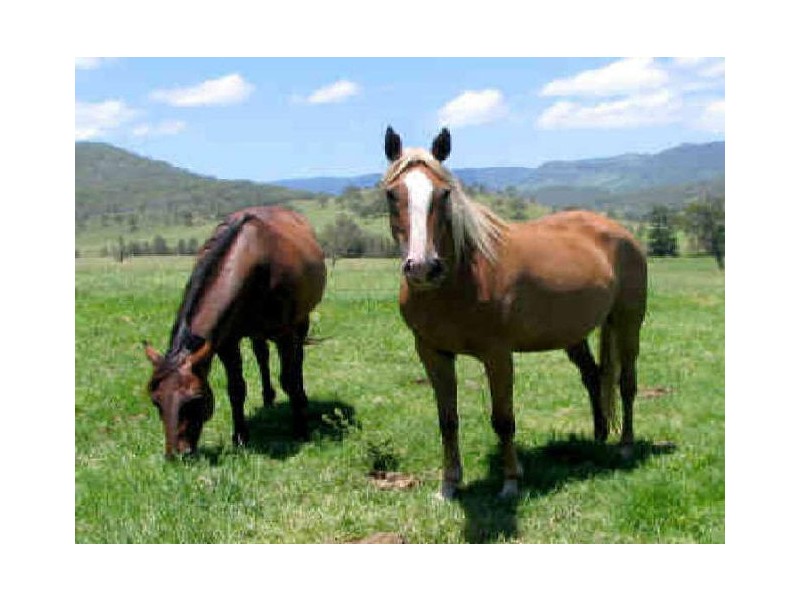 Veresdale Estate, Veresdale QLD 4285