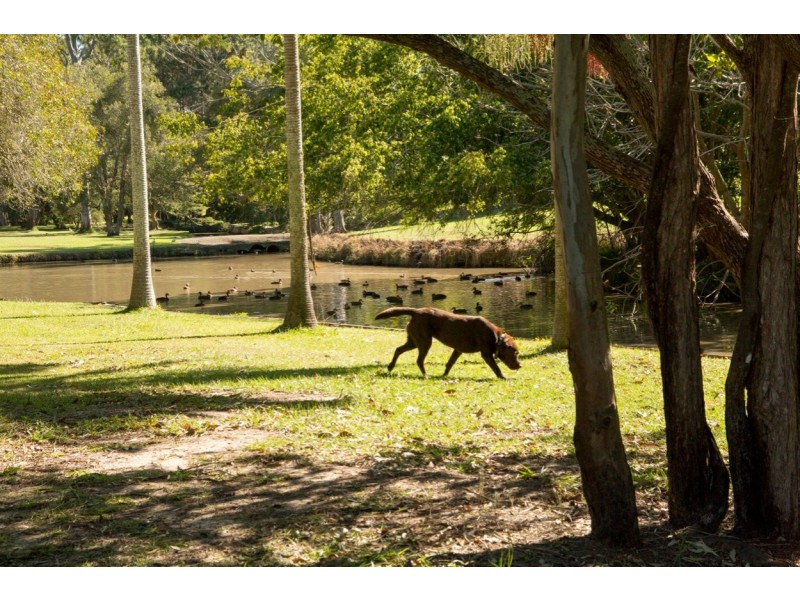 26-30 Atlantic Drive, Loganholme QLD 4129