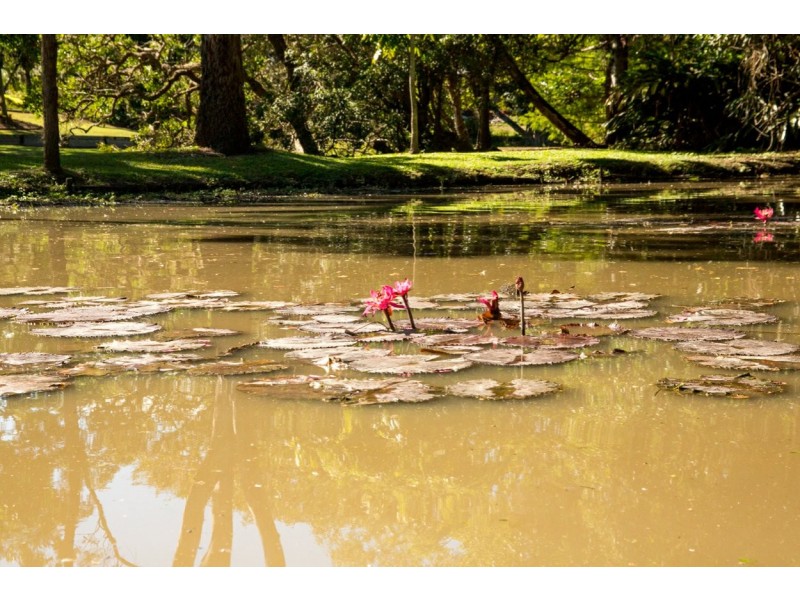 26-30 Atlantic Drive, Loganholme QLD 4129