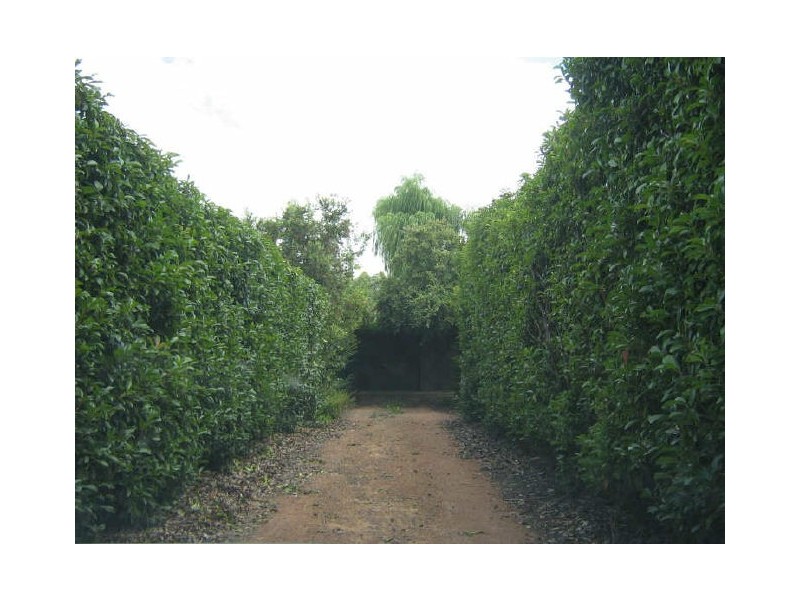 17 Baynton Street, Richardson ACT 2905