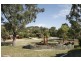 66 Chippindall Circuit, Theodore ACT 2905