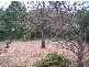 13 Waite Street, Farrer ACT 2607