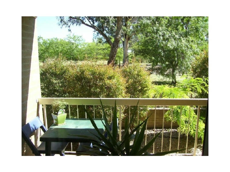 29/43 Ijong Street, Braddon ACT 2612