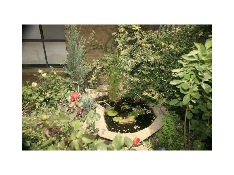 17 Balfour Crescent, Wanniassa ACT 2903