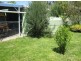 4 Carbeen Street, Rivett ACT 2611