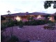 75 Chauncy Crescent, Richardson ACT 2905