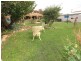 75 Chauncy Crescent, Richardson ACT 2905