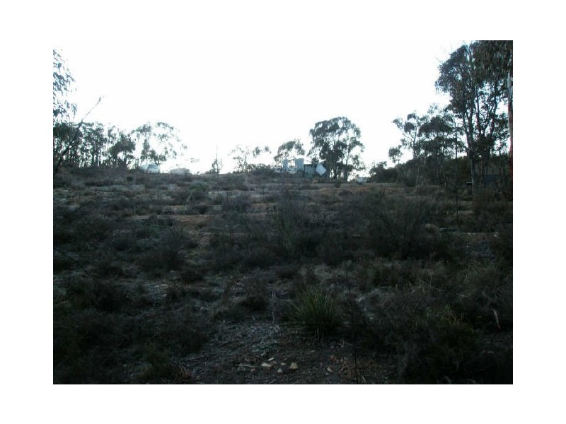 2062 Jerangle Road, Jerangle NSW 2630