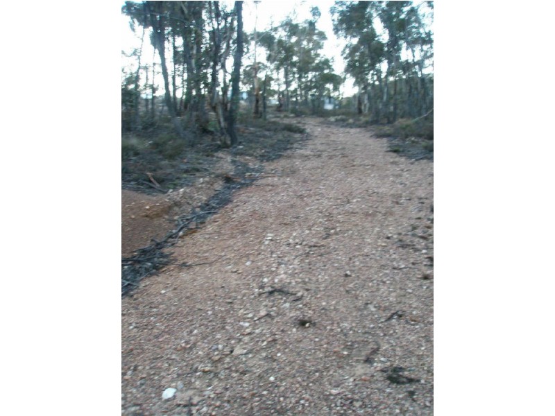 2062 Jerangle Road, Jerangle NSW 2630