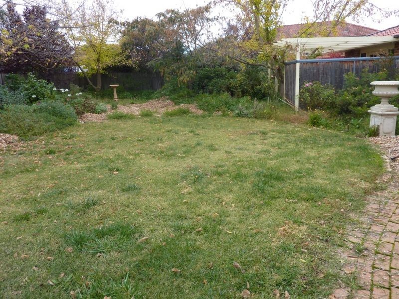 17 Loureiro Street, Conder ACT 2906