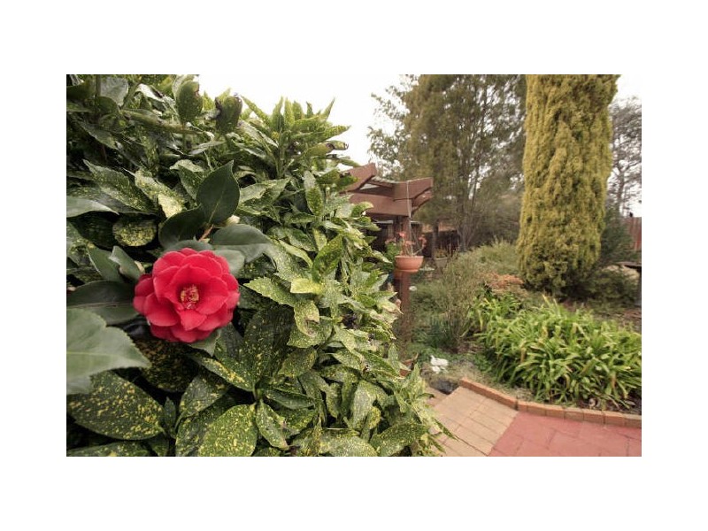 6 Cheyne Place, Kambah ACT 2902