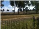 95 Gouger Street, Torrens ACT 2607