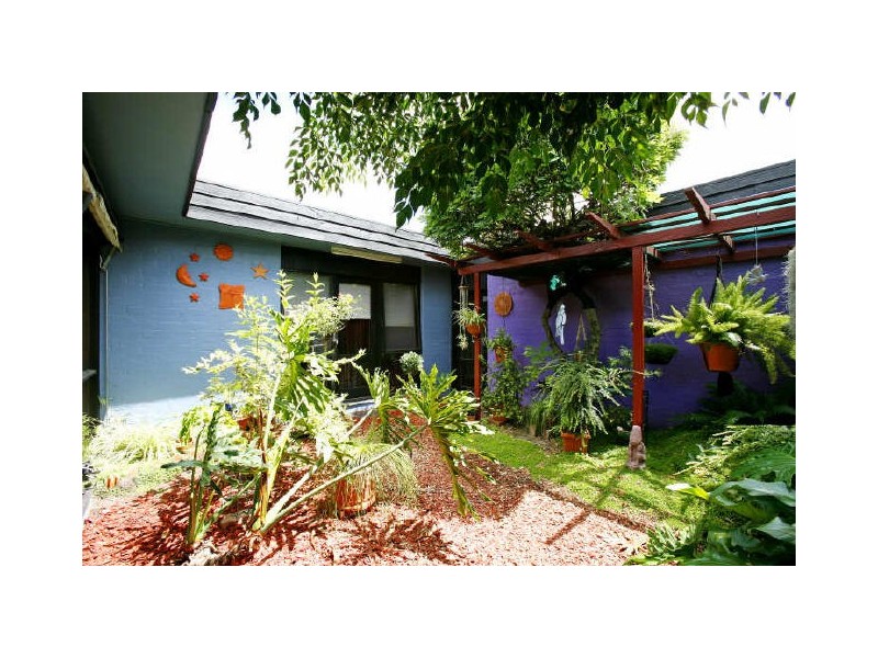 56 Drevermann Street, Farrer ACT 2607