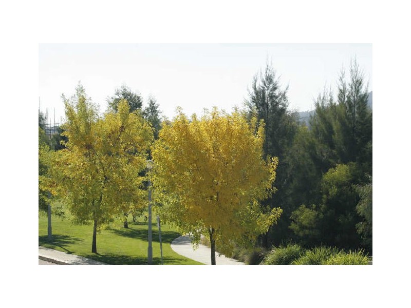 62 Dawes Street, Kingston ACT 2604