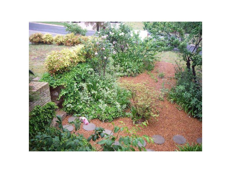 42 Drevermann Street, Farrer ACT 2607