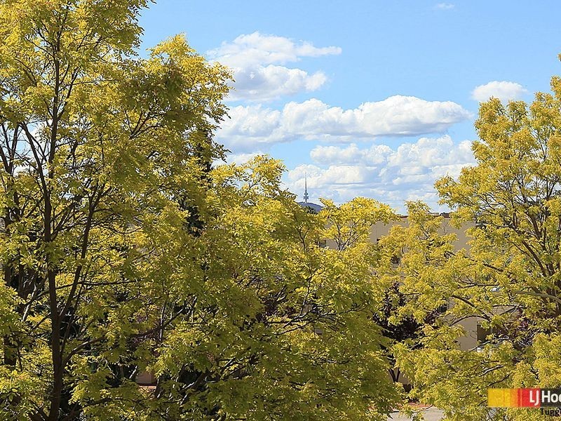 20/1 Port Jackson Circuit, Phillip ACT 2606