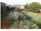 22 Fingleton Crescent, Gordon ACT 2906