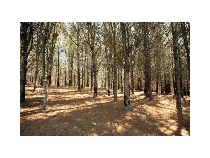 596 Ledgers Creek Road, Mullion NSW 2582