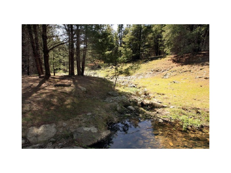 596 Ledgers Creek Road, Mullion NSW 2582