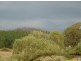 596 Ledgers Creek Road, Mullion NSW 2582