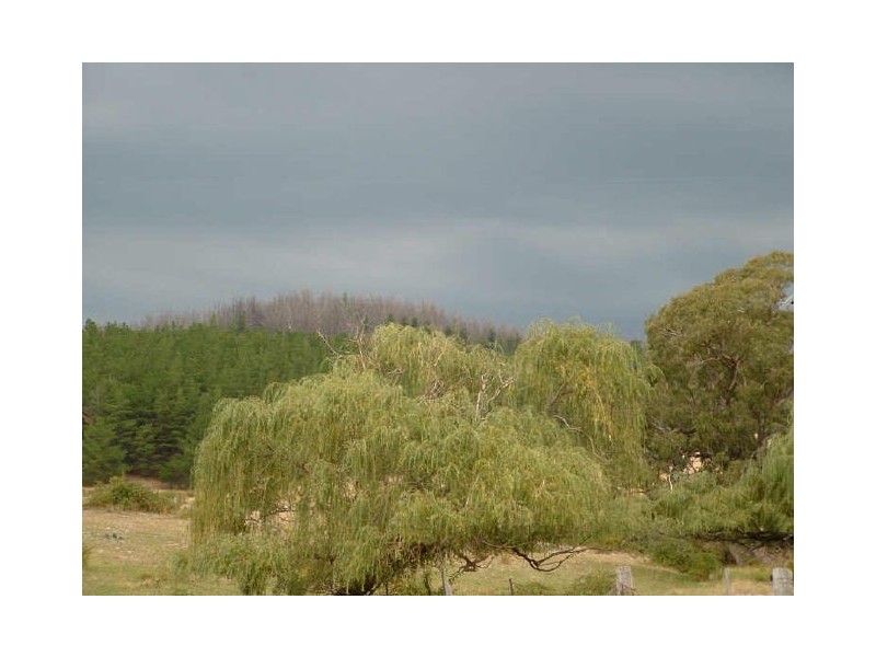 596 Ledgers Creek Road, Mullion NSW 2582