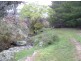 596 Ledgers Creek Road, Mullion NSW 2582
