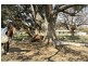 11 Mackenzie Road, Royalla NSW 2620