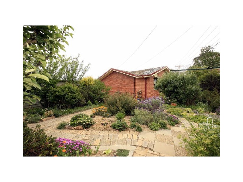 31 Embley Street, Holder ACT 2611