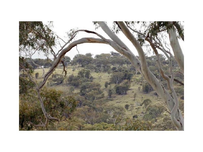 73 Waterfall Drive, Jerrabomberra NSW 2619