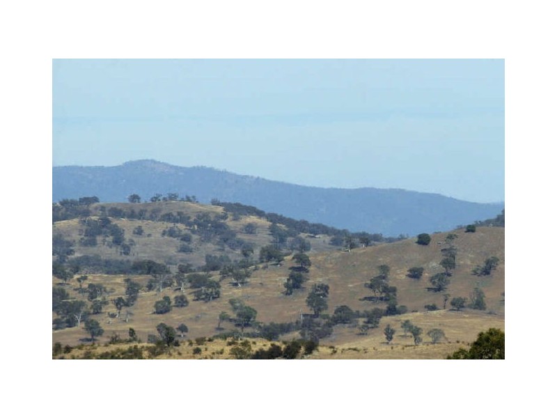 41 Ironbark Circuit, Jerrabomberra NSW 2619