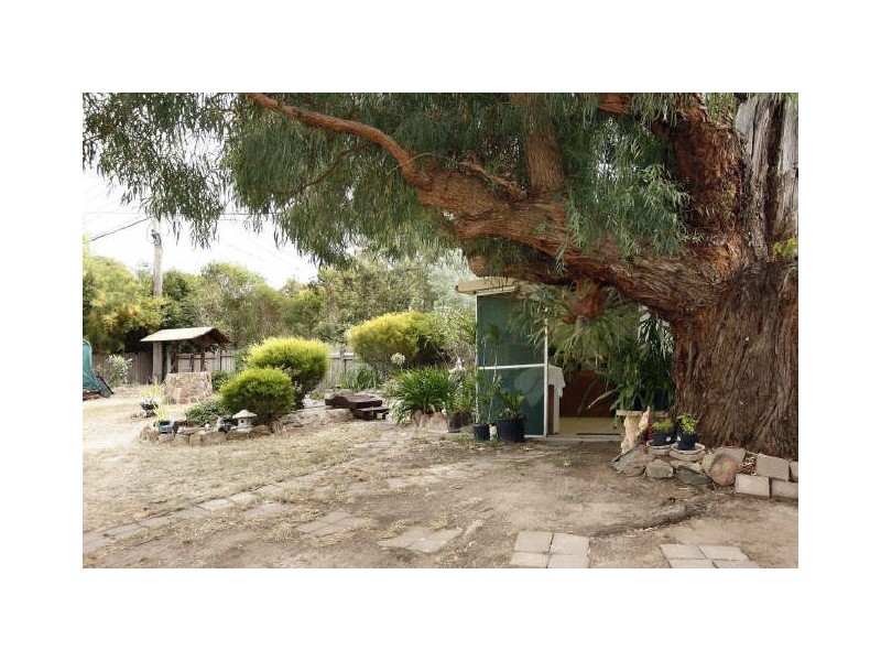 13 Casuarina Street, Rivett ACT 2611