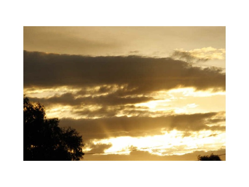 16/7 Tenison Woods Circuit, Bonython ACT 2905